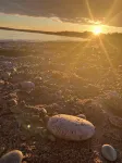 位於壯麗的芬迪灣、享有全景海岸景觀的海濱小屋 - 3 星級