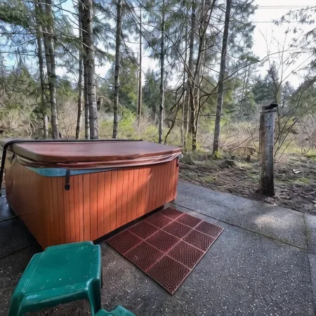 Olympic Base Camp: Pet friendly & spacious 4 bedroom home w/ hot tub