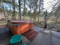 Olympic Base Camp: Pet friendly & spacious 4 bedroom home w/ hot tub