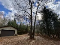 Cozi retreat set in the woods within walking distance of Waubee Lake. - Homestays