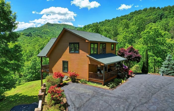 Bear Valley Retreat | Cozy and Private Cabin near Lake Chatuge | Dog Friendly
