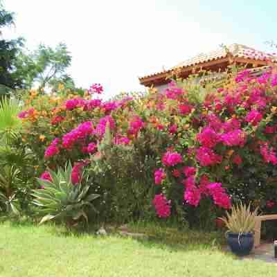 Vacation home with pool in a beautiful country location with sea views Wifi included Hotel Exterior