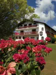 Hotel Bergblick - Wifi