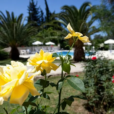 Hotel Milton Hotels in Roda