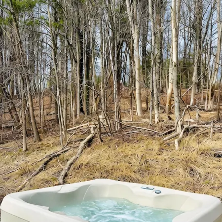 Stream Side Cabin surrounded by woods + Fire Pit
