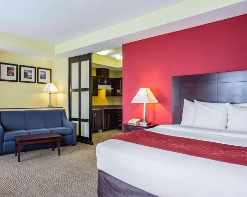 Comfort Suites Rock Hill Manchester Meadows Area
