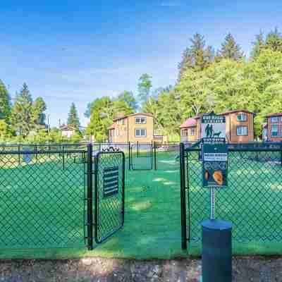 Rainforest Retreat Tiny Home: Bohemian Cottage Fitness & Recreational Facilities