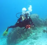 Diani Reef Beach Hive 1 - 350m to the beach - Bãi biển
