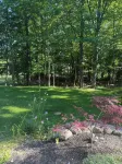 Junebug Cottage: peace, love and privacy a short walk to Woodstock village green - 4 stjerner