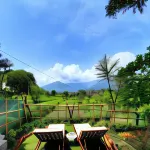 Seclude Palampur