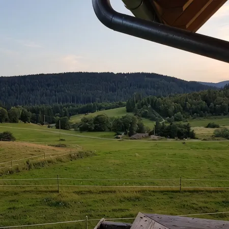Modern 75 m² Vacation Apartment - Only 3 km to the Schluchsee.