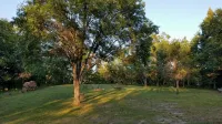 Spacious Four Bedroom Cabin for Northern Escape