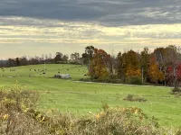 Litchfield Modern Farmhouse - Wifi