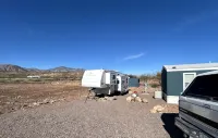 The Eagle Perched at Roosevelt Lake - 3-Star