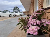 Bayview Motor Inn - parking