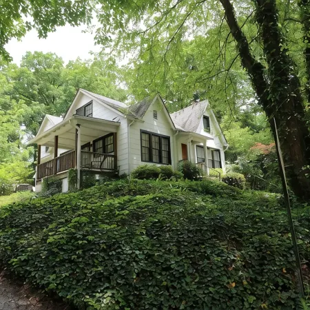 Downtown Brevard Cottage~ Short Stroll to Main Street~ Hiking & Biking Close By
