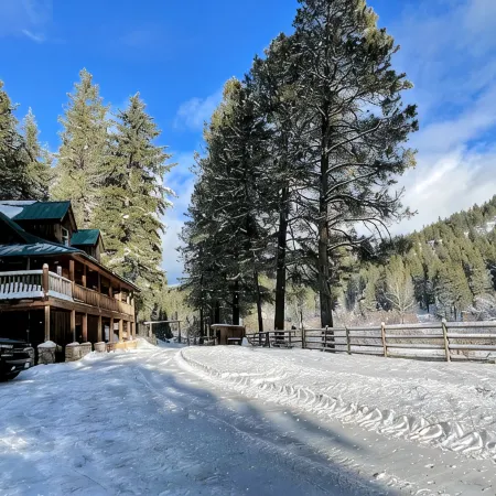 Private Cabin on 3 Acres for Outdoor Enthusiasts
