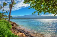 Beachfront condo in Maalaea - 2 Bedroom 2 Bath - Ground floor, AC!!! - Wifi