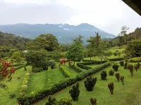 Celeste Mountain Lodge - Dağ Manzaralı