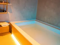 Ibis Timisoara City Center - Hot Tub
