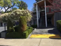 Oak Motel Hotels in Los Altos