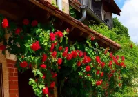 Auberge la Croix Blanche Hotels in Combreux