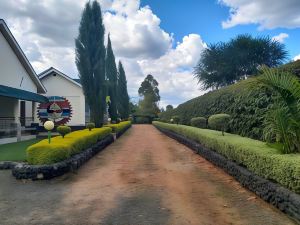 Sahara Gardens Bomet