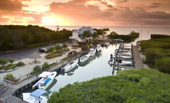 a marina with numerous boats docked in the water , creating a picturesque scene at sunset at Ocean Pointe Suites at Key Largo