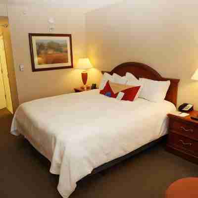 Hilton Garden Inn des Moines/Urbandale Rooms