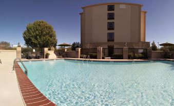 Best Western Plus Sugar Land/Stafford