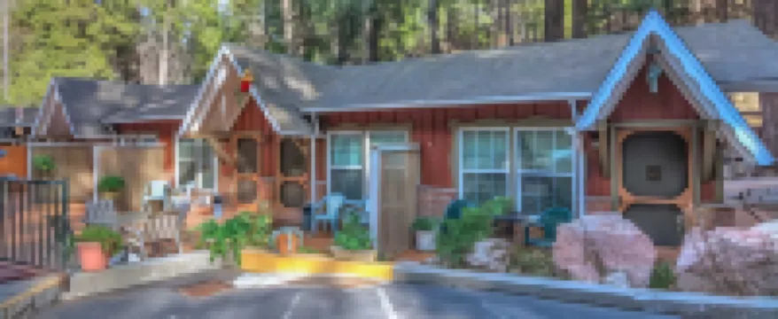 Arrowhead Tree Top Lodge