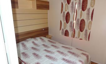 Large Mobile Homes Sleeping 8 with Air Conditioning in a Holiday Village