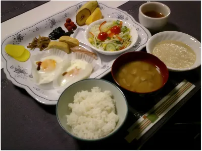 Ota Daiichi Hotel Hotels near Niragawa Station