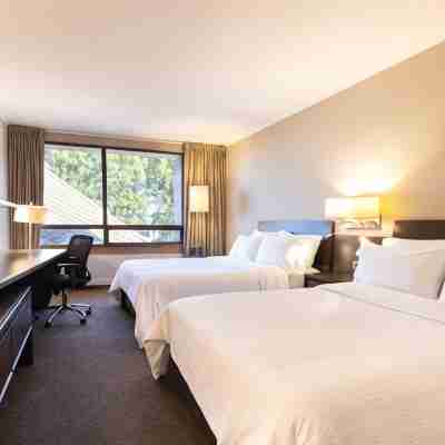 Holiday Inn Express Temuco Rooms