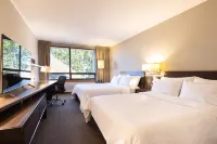 Holiday Inn Express TEMUCO by IHG Hotels in Temuco