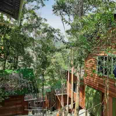Utan Teluk Nipah Hotel Exterior