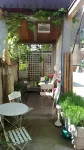 B&B Il Rustico Hôtels à : Mozzate