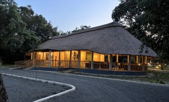 Africa Safari Nyerere