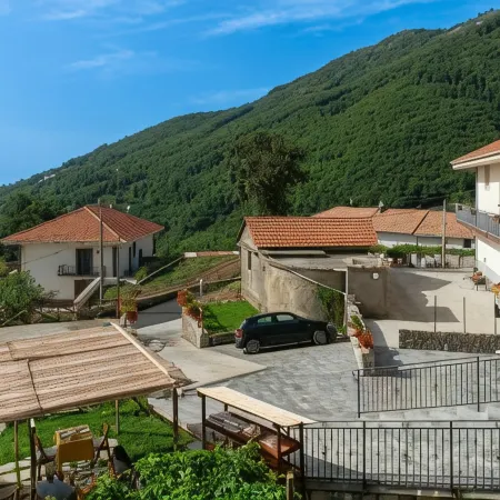 Il Vigneto di Nonno Pietro