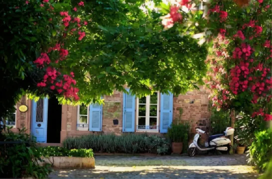 Cunda Lena Otel Hotels in 