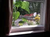 約瑟芬灣住宿加早餐飯店