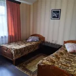 Hotel Balu Hotels in Vyazemsky District