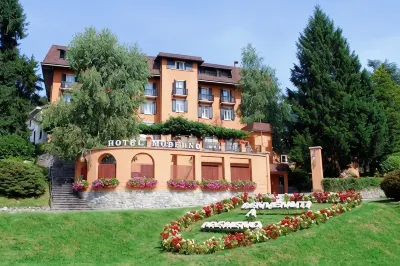 Hotel Moderno Hotels near Ronco