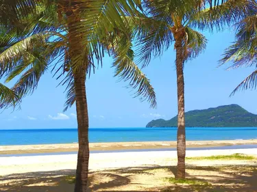 รูปภาพของNamaste Resort - นมัสเต รีสอร์ต