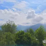 Yunqiang Homestay - pet friendly