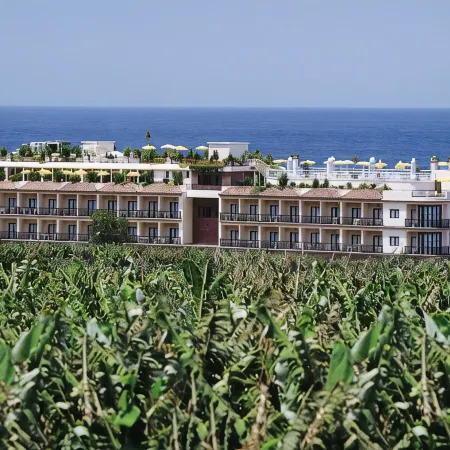 Hotel Gran Rey