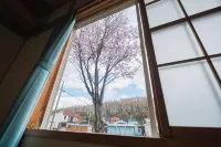 SAKURA Nishikagura - مطابخ