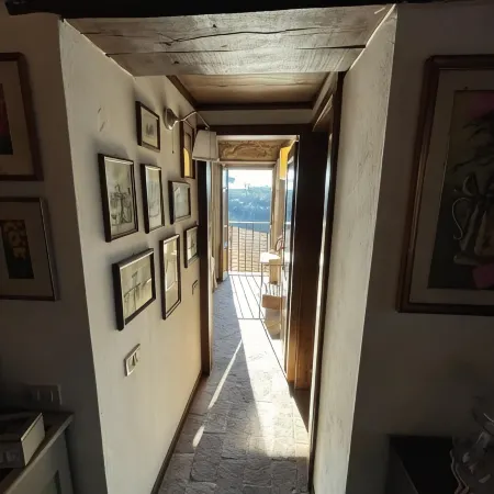 Grandmother's Attic