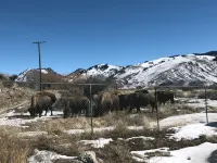 Elk View Cabin