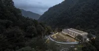 Stray Birds Hotel